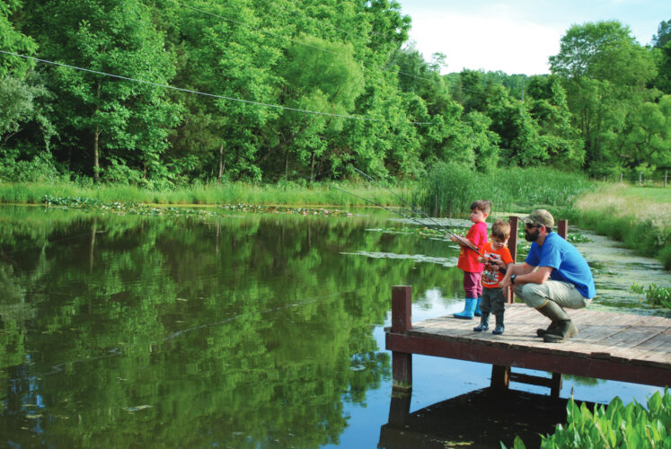 Fun Nature Activities for Kids Image